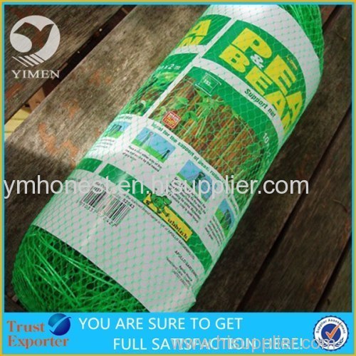 Bean&Pea netting for plant