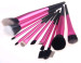 11Pcs ems Cosmetic brushes/Ems makeup brushes