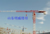 Tructworthy tower crane-Shandong Mingwei