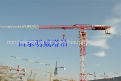 China professional manufacture tower crane