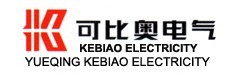 Yueqing Kebiao electricity co