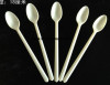 plastic injection spoon mould