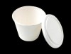 6oz biodegradable cup/bagasse material