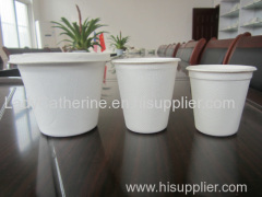6oz biodegradable cup/bagasse material