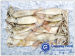 Frozen Japanese Flying Squids(Todarodes Pacificus)