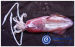 Frozen Japanese Flying Squids(Todarodes Pacificus)