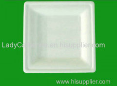 biodegradable tableware/disposable sugarcane tray