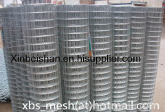 Galvanized welded wire mesh