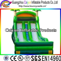 Tropical Inflatable Dry Slide