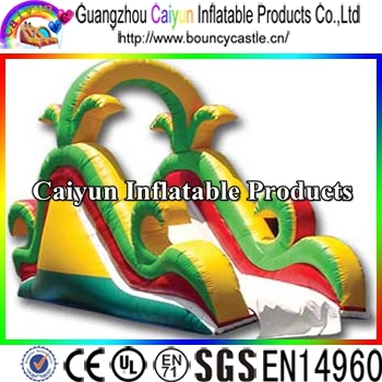 New Designed Beautiful Inflatable Slide