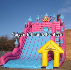 inflatable adult slide