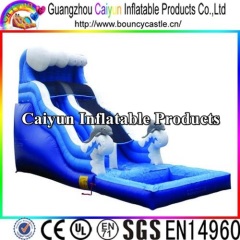 inflatable adult water slide