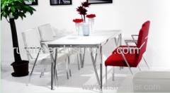 Personality Fashion Taste Home Furnishing Dining Table