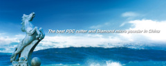 Huangshi Diamaster Co.,Ltd.