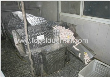 Chicken Processing Equipment Chicken Feet Processing Line