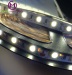 300PCS 5050 SMD LED STRIP 10MM WHITE PCB DC12V NO-WATERPROOF IP20