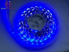 SMD5050 LED TAPE LIGHT RIBBON BLUE COLOR EFFECT WONDERFUL STRIPS