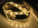 WARM WHITE COLOR EFFECT 5050 FELXIBLE TAPE LIGHTS 300LED