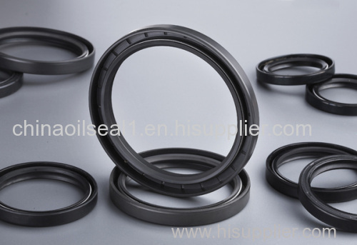 oil seals with skeleton, auto oil seals