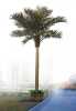 Artificial coconut tree/artificial coco tree/fake coconut tree/simulation coco tree with fruit/high imitation tree