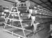 Chicken cage for poultry farming