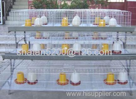 automatic chicken cage/battery cage laying hens