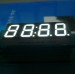 white 4 digit 7 segment led disply; white 0.56" led clock display;