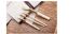 bamboo makeup brush set