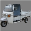 Bajaj Auto Rickshaw cargo trike 3 wheelers motor tricycle BA175ZH-1