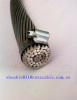 ACSR Cable/acsr horse conductor