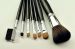 Best Promotional Makeup brushes