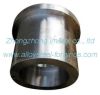 42CrMo, 30Cr2Ni2Mo Alloy Steel Forgings, Forged Roller, Transmission Shaft ODM