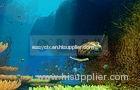 4d cinema movie cinema theatres movies