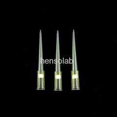 PP material Pipette Tips with / without filter