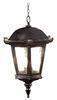 Electric Power Outdoor Traditional Pendant Lighting Droplight 100W E27