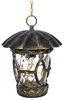 Classic Outdoor Hanging Pendant Lights Bronze Finished with Water Glass Droplight IP65