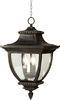 Decorative Antique Outdoor Hanging Pendant Lights Black Patio Lantern 60W E12