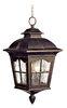 Classic Decorative Outdoor Hanging Pendant Lights 40W E12 Lamp IP65