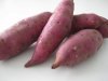 Fresh Egyptian High quality Sweetpotato