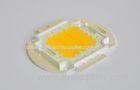 Epistar LED Chip 10000Lm 100W COB LED Module , Surface Light Source