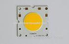 36V - 38V Genesis 30W COB LED 80 CRI 120 100Lm/W For Ceiling Light