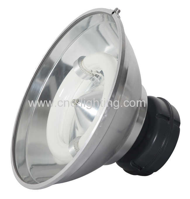 120-300W Induction Highbay Fitting