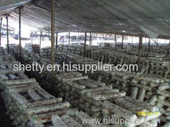 Yunnan Yisheng Edible Mushroom Co.,Ltd.