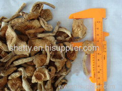 china dried Cantharellus Cibarius