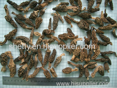 A grade dried wild organic morchella esculenta