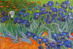 Oil painting of Van Gogh(13)