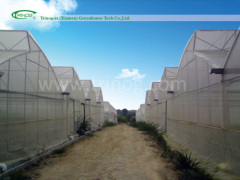 Econmocal model plastic film greenhouse