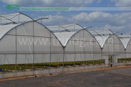 Commercial greenhouse for sale