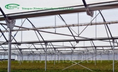 Multi span film greenhouse for flower