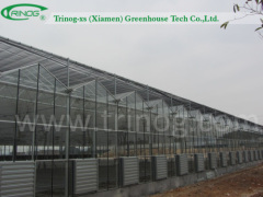 Venlo glass greenhouse for flower